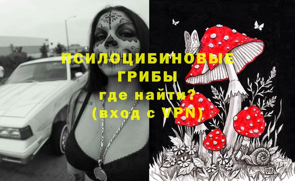 мдпв Медвежьегорск