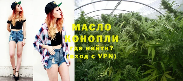 ешки Дмитриев