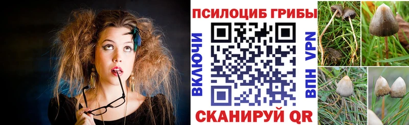Псилоцибиновые грибы прущие грибы  где купить наркоту  мега ССЫЛКА  Воронеж 
