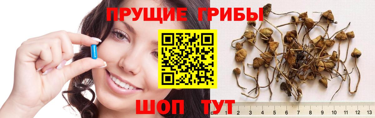 Галлюциногенные грибы мицелий Воронеж